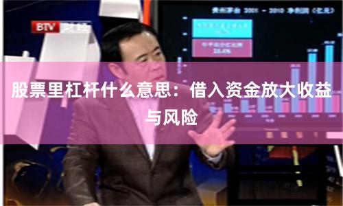 股票里杠杆什么意思：借入资金放大收益与风险