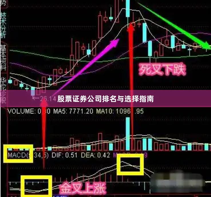 股票证券公司排名与选择指南