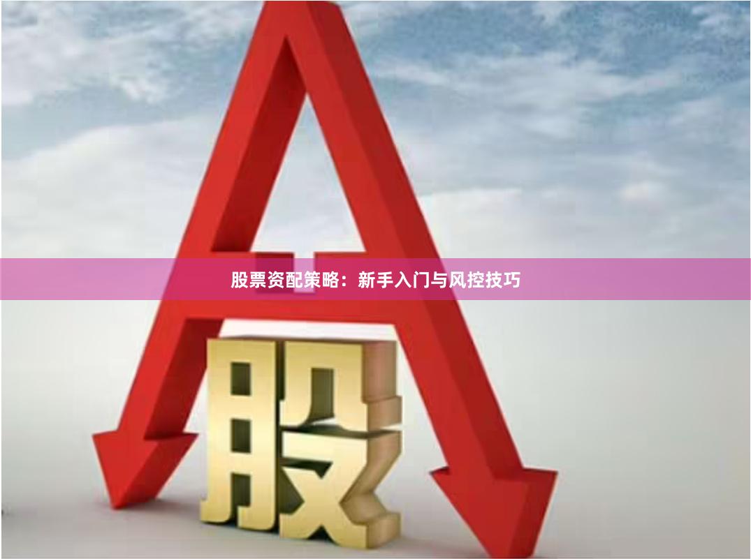 股票资配策略：新手入门与风控技巧